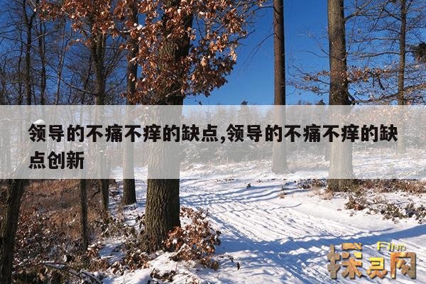 领导的不痛不痒的缺点,领导的不痛不痒的缺点创新