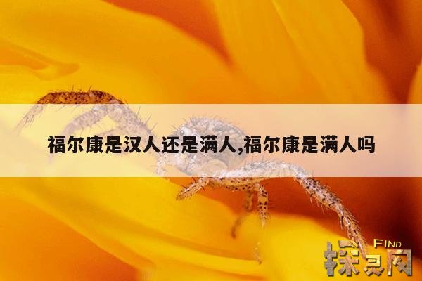 福尔康是汉人还是满人,福尔康是满人吗