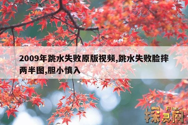2009年跳水失败原版视频,跳水失败脸摔两半图,胆小慎入