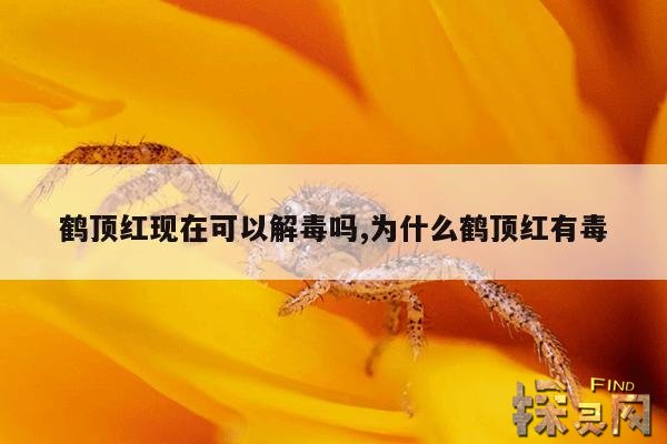 鹤顶红现在可以解毒吗,为什么鹤顶红有毒