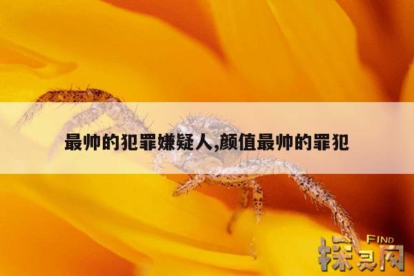 最帅的犯罪嫌疑人,颜值最帅的罪犯