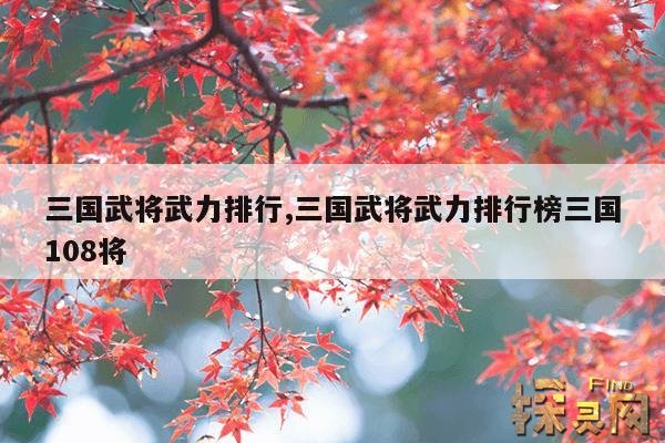 三国武将武力排行,三国武将武力排行榜三国108将