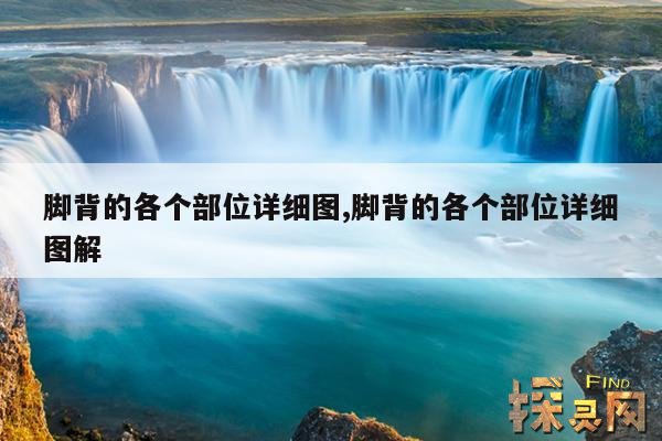 脚背的各个部位详细图,脚背的各个部位详细图解