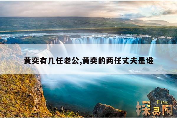 黄奕有几任老公,黄奕的两任丈夫是谁