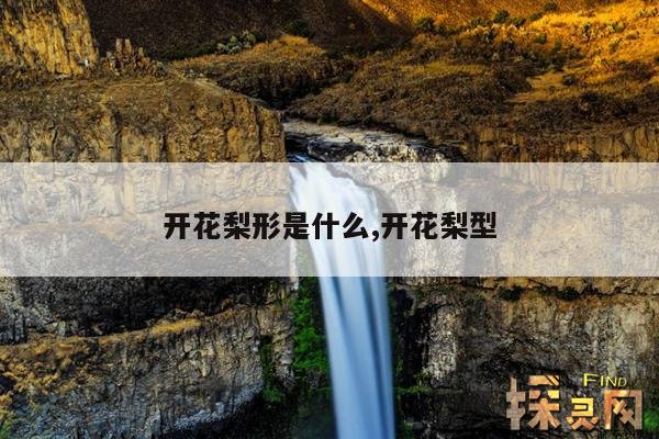 开花梨形是什么,开花梨型