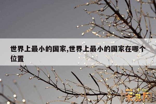世界上最小的国家,世界上最小的国家在哪个位置