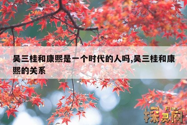 吴三桂和康熙是一个时代的人吗,吴三桂和康熙的关系