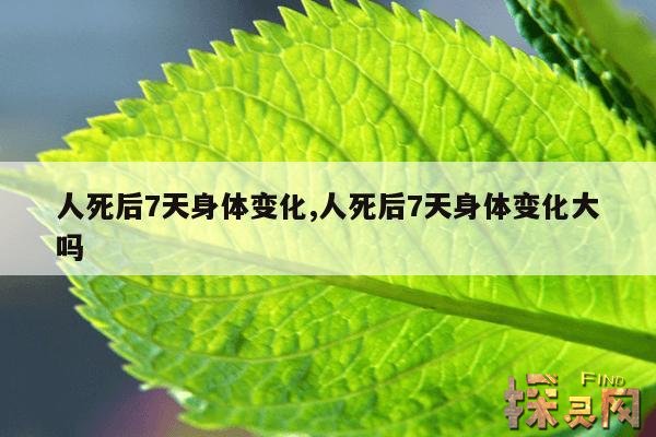 人死后7天身体变化,人死后7天身体变化大吗