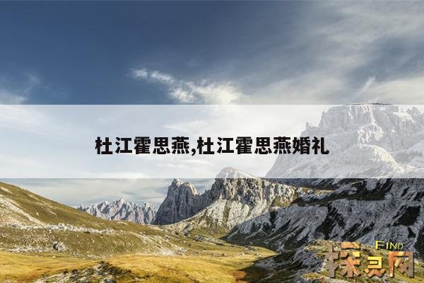 杜江霍思燕,杜江霍思燕婚礼