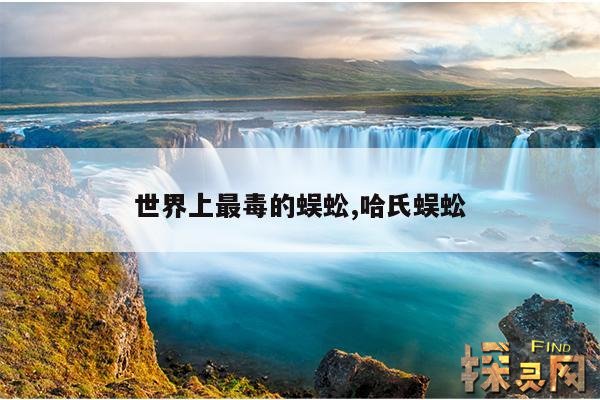 世界上最毒的蜈蚣,哈氏蜈蚣