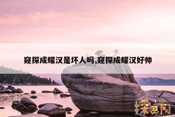 窥探成耀汉是坏人吗,窥探成耀汉好帅
