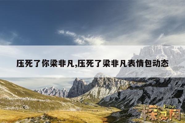 压死了你梁非凡,压死了梁非凡表情包动态