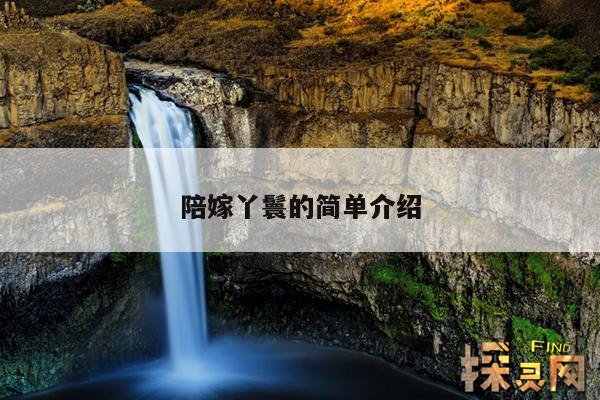 陪嫁丫鬟的简单介绍