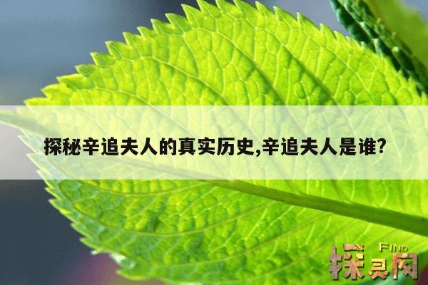 探秘辛追夫人的真实历史,辛追夫人是谁?