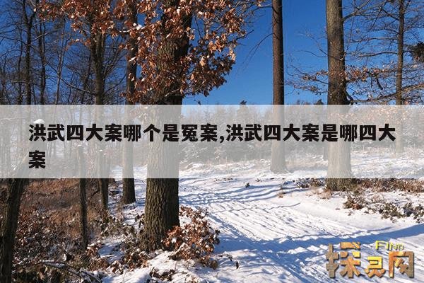 洪武四大案哪个是冤案,洪武四大案是哪四大案