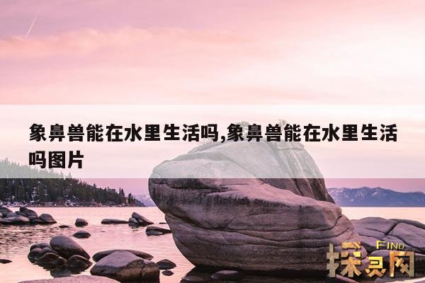 象鼻兽能在水里生活吗,象鼻兽能在水里生活吗图片
