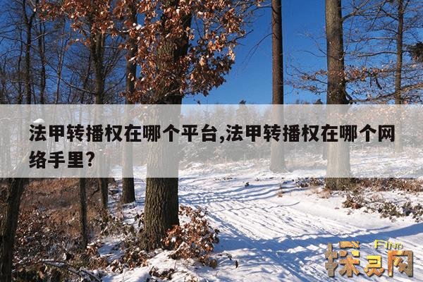 法甲转播权在哪个平台,法甲转播权在哪个网络手里?