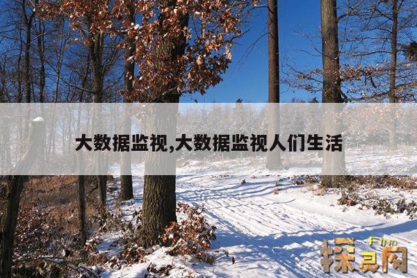 大数据监视,大数据监视人们生活