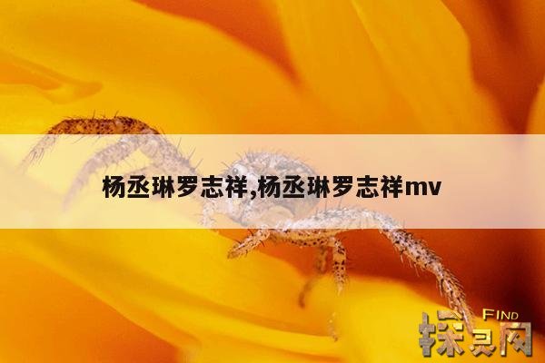 杨丞琳罗志祥,杨丞琳罗志祥mv