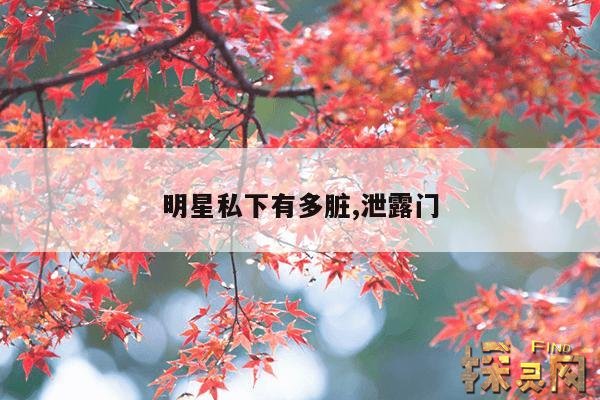 明星私下有多脏,泄露门