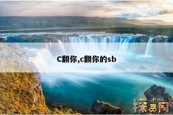 C翻你,c翻你的sb
