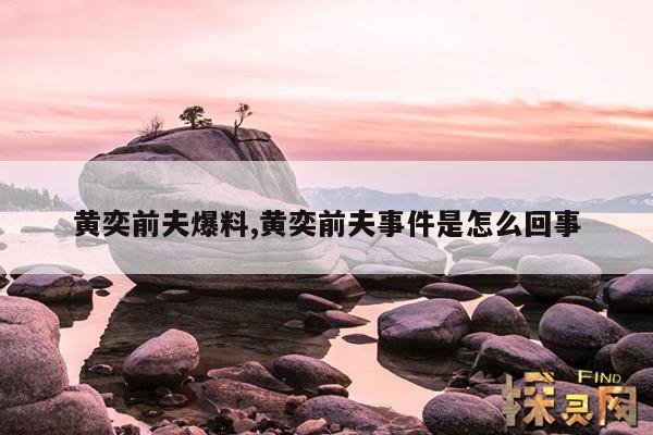 黄奕前夫爆料,黄奕前夫事件是怎么回事