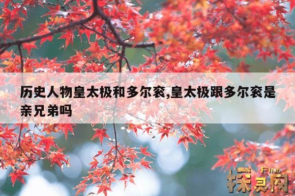历史人物皇太极和多尔衮,皇太极跟多尔衮是亲兄弟吗