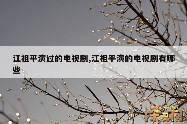 江祖平演过的电视剧,江祖平演的电视剧有哪些