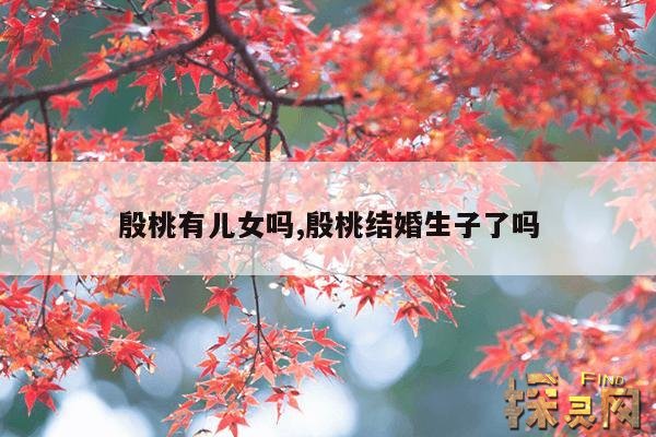 殷桃有儿女吗,殷桃结婚生子了吗