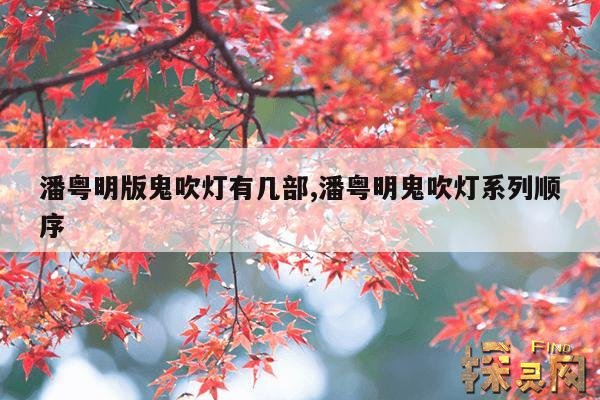 潘粤明版鬼吹灯有几部,潘粤明鬼吹灯系列顺序