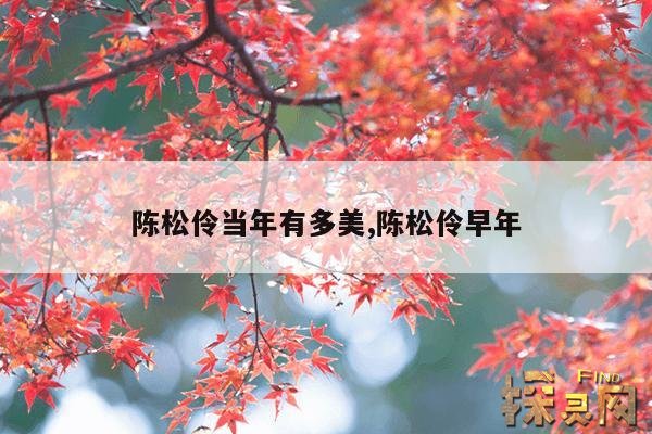 陈松伶当年有多美,陈松伶早年