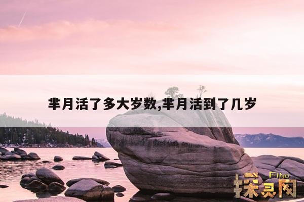芈月活了多大岁数,芈月活到了几岁