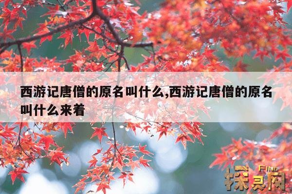西游记唐僧的原名叫什么,西游记唐僧的原名叫什么来着