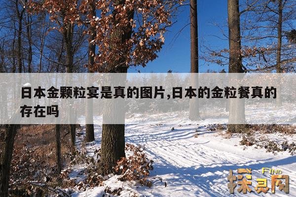 日本金颗粒宴是真的图片,日本的金粒餐真的存在吗