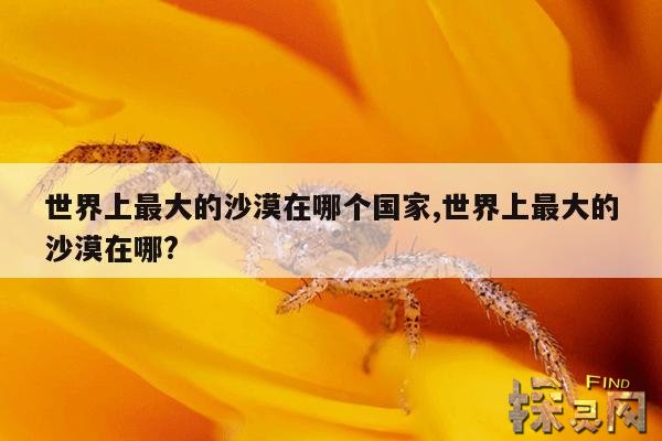 世界上最大的沙漠在哪个国家,世界上最大的沙漠在哪?