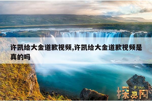 许凯给大金道歉视频,许凯给大金道歉视频是真的吗
