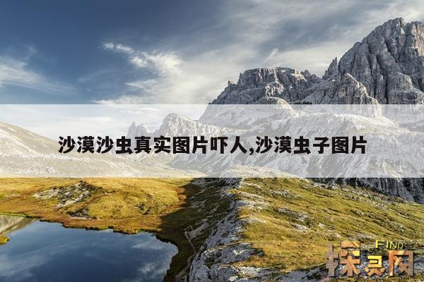 沙漠沙虫真实图片吓人,沙漠虫子图片