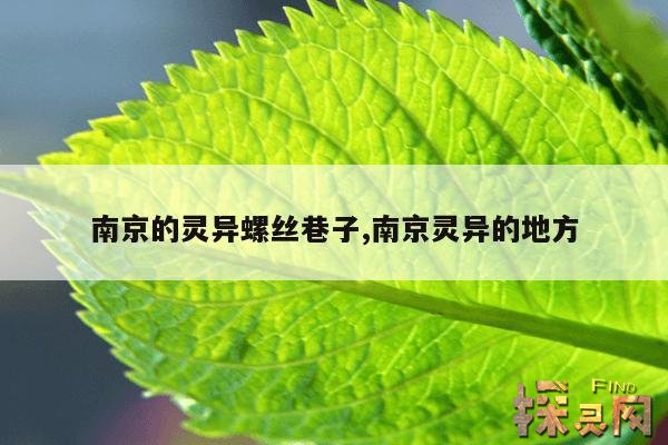 南京的灵异螺丝巷子,南京灵异的地方