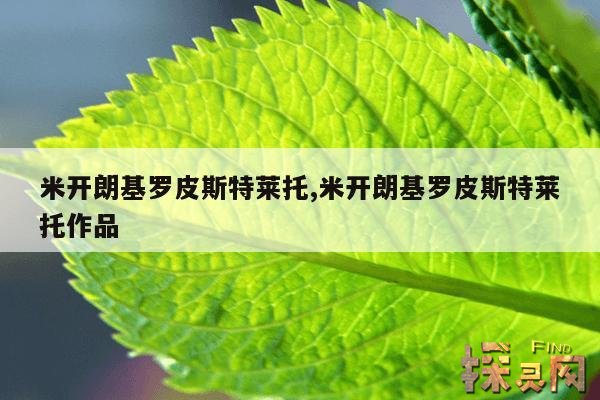 米开朗基罗皮斯特莱托,米开朗基罗皮斯特莱托作品