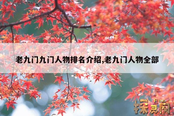 老九门九门人物排名介绍,老九门人物全部