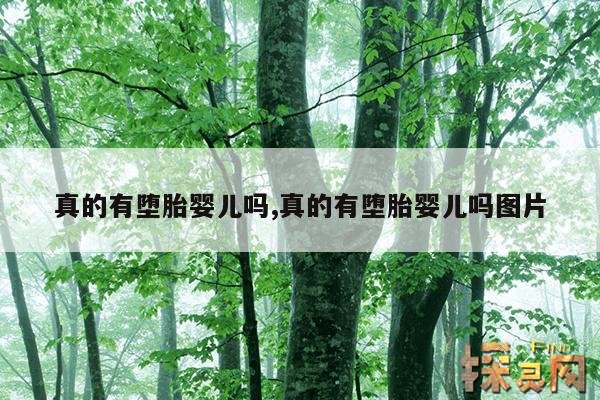 真的有堕胎婴儿吗,真的有堕胎婴儿吗图片