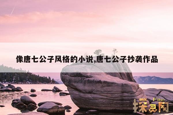 像唐七公子风格的小说,唐七公子抄袭作品
