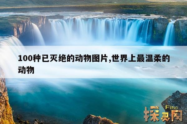 100种已灭绝的动物图片,世界上最温柔的动物