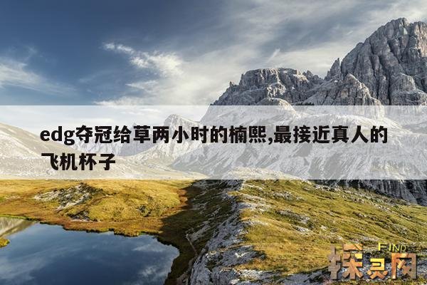 edg夺冠给草两小时的楠熙,最接近真人的飞机杯子
