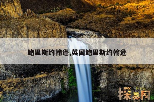 鲍里斯约翰逊,英国鲍里斯约翰逊