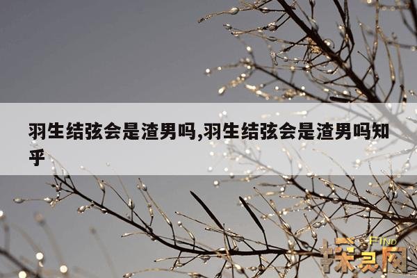 羽生结弦会是渣男吗,羽生结弦会是渣男吗知乎