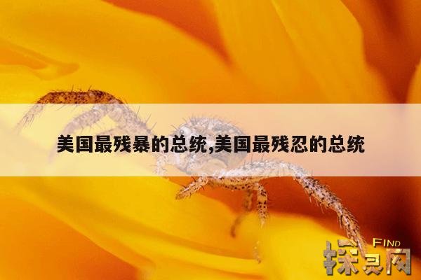 美国最残暴的总统,美国最残忍的总统