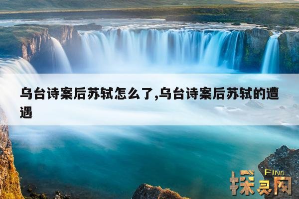 乌台诗案后苏轼怎么了,乌台诗案后苏轼的遭遇