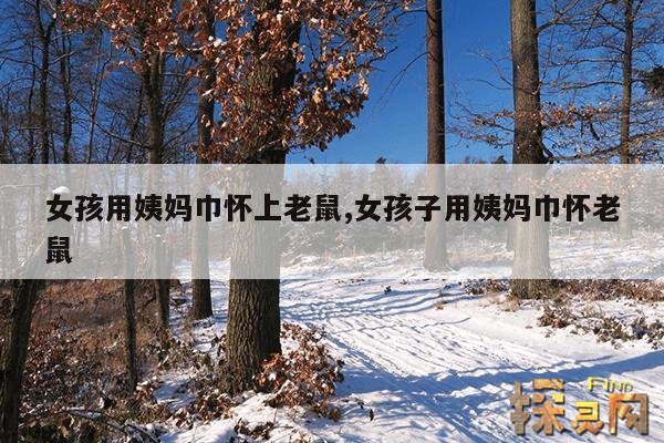 女孩用姨妈巾怀上老鼠,女孩子用姨妈巾怀老鼠