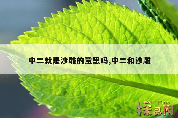 中二就是沙雕的意思吗,中二和沙雕